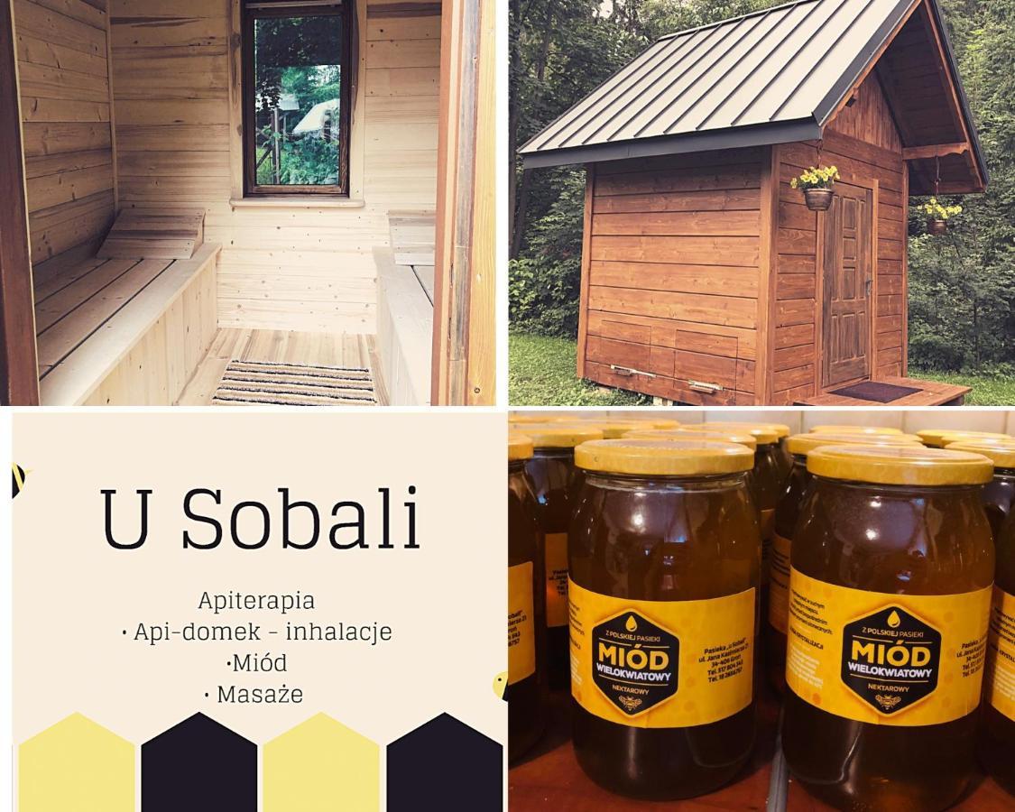 Villa U Sobali Groń Exterior foto